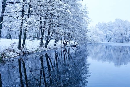 beautiful winter park