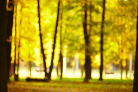 autumn days in the parkの写真素材