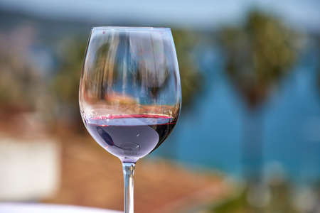 A glass of red wine against seaの写真素材