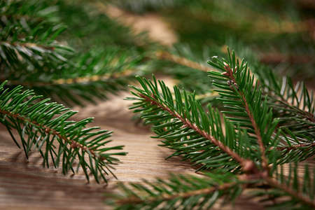 Christmas card - Christmas tree branches on the wooden backgroundの写真素材