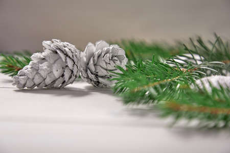 Christmas card - Christmas tree branches on the wooden backgroundの写真素材