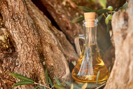 olive oil in the bottleの写真素材