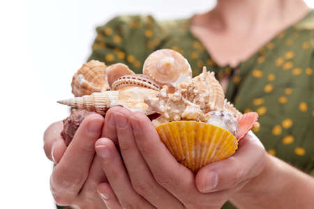 woman with shells isolated on whiteの写真素材