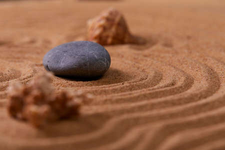 Starfish and shells on a sand beach