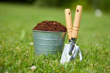 gardening tools and plants in the gardenの写真素材