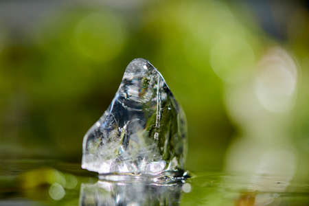 ice cube and green plantsの写真素材