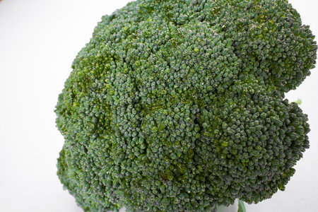 fresh broccoli on the whiteの写真素材