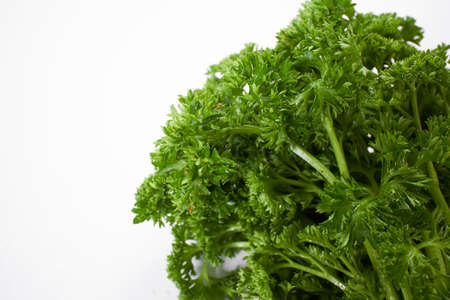 fresh parsley on the whiteの写真素材