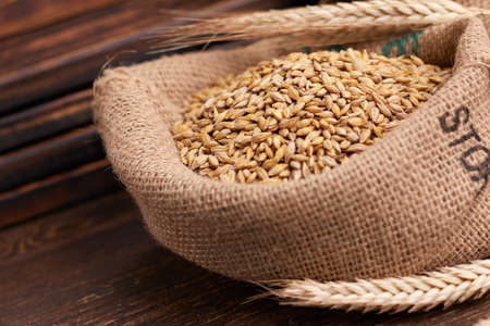 barley grain on the wooden backgroundの写真素材