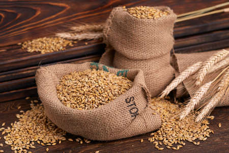 barley grain on the wooden backgroundの写真素材