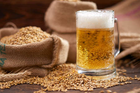 beer ingredients:barley near beer glassの写真素材