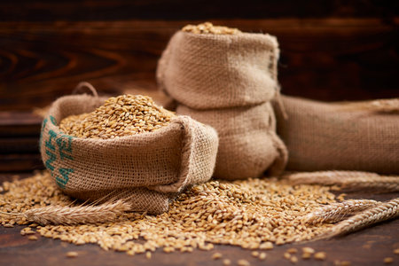 barley grain on the wooden backgroundの写真素材
