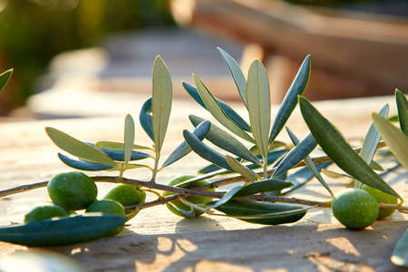 green olives on the wooden backgroundの写真素材