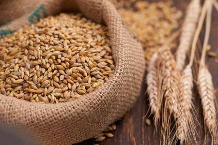 barley grain on the wooden backgroundの写真素材