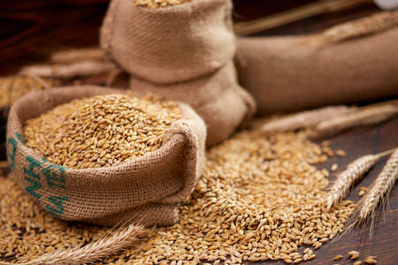 barley grain on the wooden backgroundの写真素材