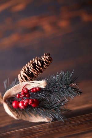 pine branch with berries and conesの写真素材