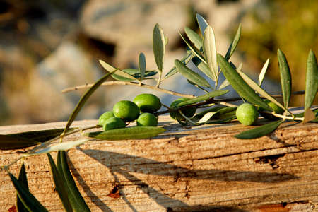 green olives on the wooden backgroundの写真素材