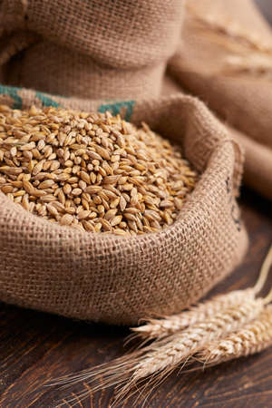 barley grain on the wooden backgroundの写真素材