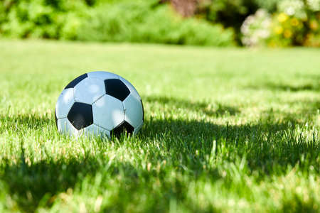 football ball on green grass lawnの写真素材