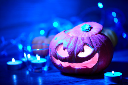 Halloween pumpkin in the darkの写真素材