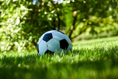 football ball on green grass lawnの写真素材