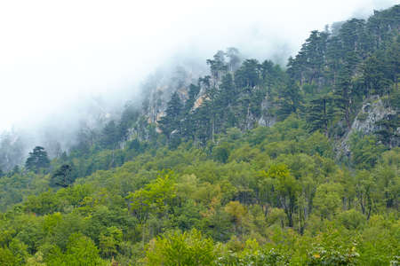 summer holidays in the national parkの写真素材