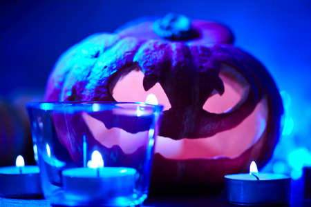 Halloween pumpkin in the darkの写真素材