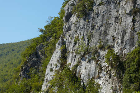 summer holidays in the national parkの写真素材