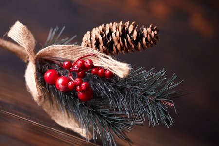 pine branch with berries and conesの写真素材