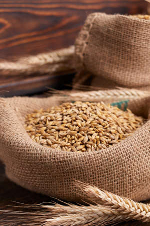 barley grain on the wooden backgroundの写真素材