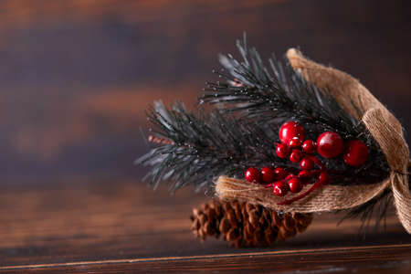 pine branch with berries and conesの写真素材