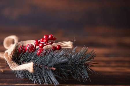 pine branch with berries and conesの写真素材