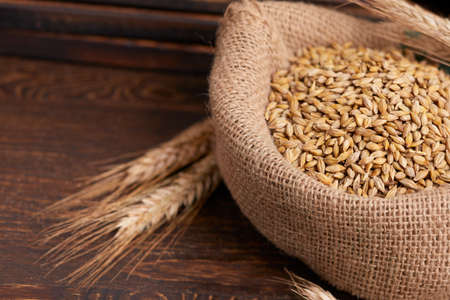 barley grain on the wooden backgroundの写真素材