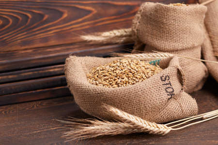 barley grain on the wooden backgroundの写真素材
