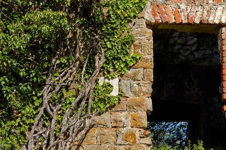 stone wall with plants in Montenegroの写真素材