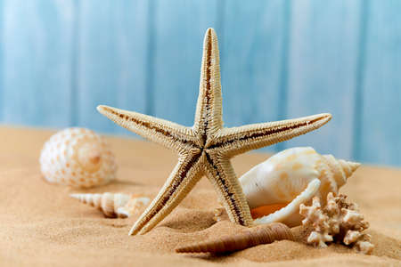 sea shells and pearls on sandの写真素材