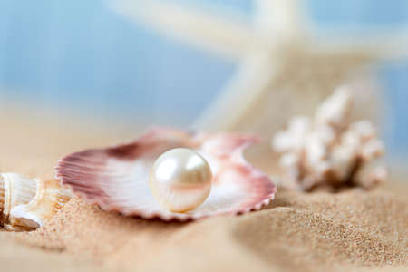 sea shells and pearls on sandの写真素材