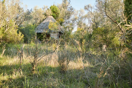 old hut with bamboo roofの写真素材