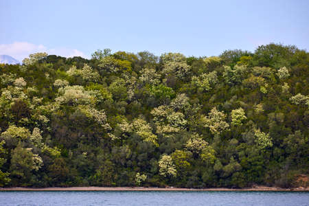 Beautiful aerial panorama view of montenegro coastline with azure sea water.の写真素材