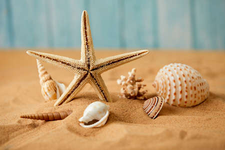 sea shells and pearls on sandの写真素材