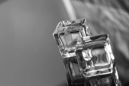 ice cubes on the glassの写真素材