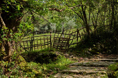 Nice park in Montenegroの写真素材