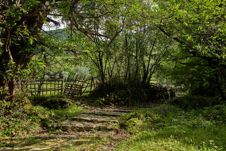 Nice park in Montenegroの写真素材