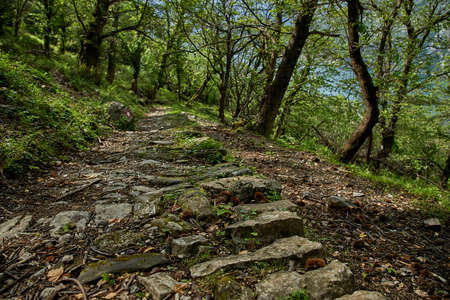 Nice park in Montenegroの写真素材
