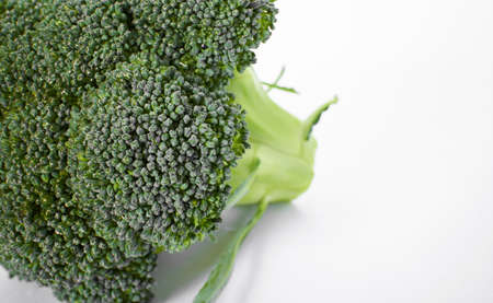 fresh broccoli on the whiteの写真素材