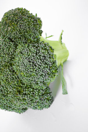 fresh broccoli on the whiteの写真素材