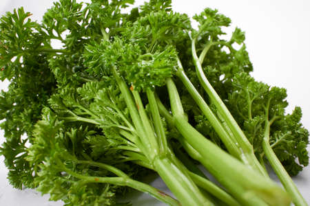 fresh parsley on the whiteの写真素材