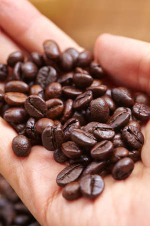 coffee beans in the coffee shopの写真素材