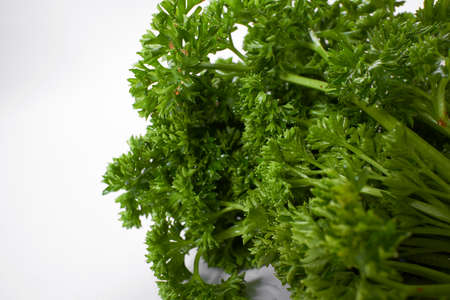 fresh parsley on the whiteの写真素材