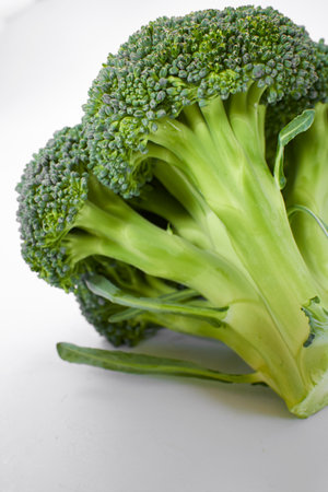 fresh broccoli on the whiteの写真素材